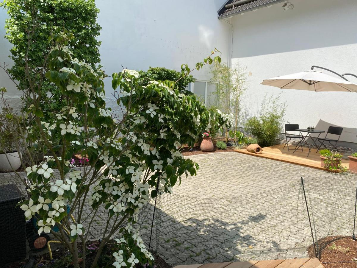 Altstadt-Chalet @Conny'S Brilon Exterior foto